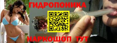 индика Северобайкальск
