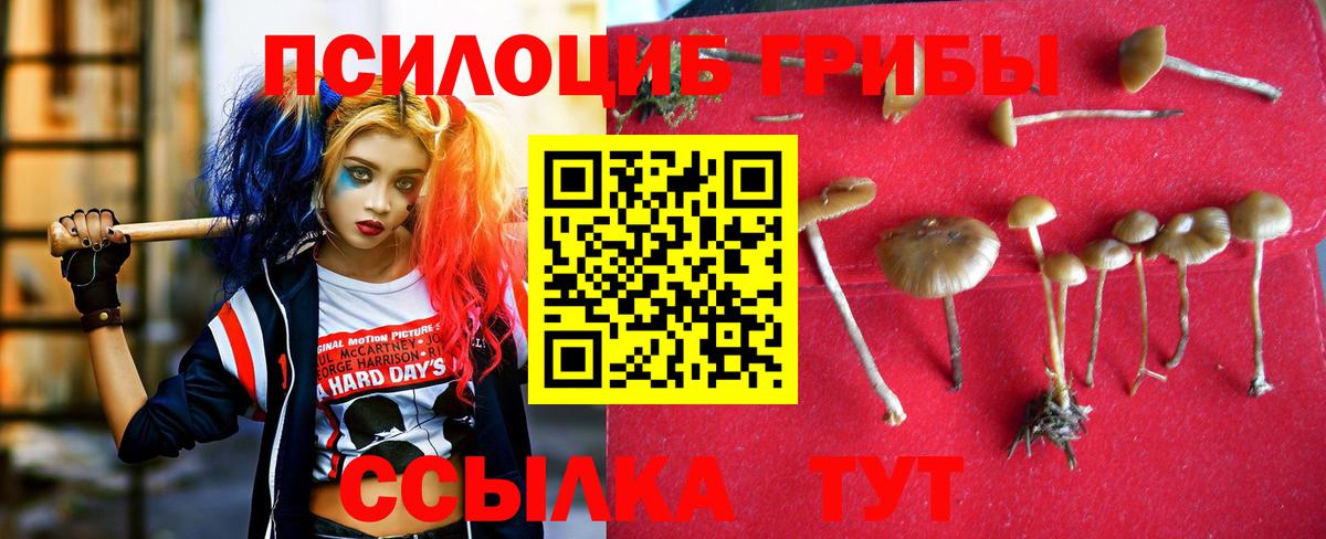 Сегежа  Галлюциногенные грибы мицелий  Вход с VPN 